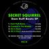 Cover art for "Secret Squirrel — Dam Ruff Beatz"