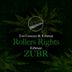 Cover art for "Erbman — Zubr"