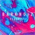 Cover art for "Barknoiz — Fluority"