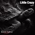 Cover art for "Little Crazy — Hardin"