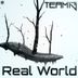 Cover art for "Team 13 — Real World"