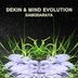 Cover art for "Mind evolution, Dekin — Damodaraya (Original Mix)"