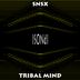 Cover art for "SNSX — Tribal Mind (Righini Traxxx Mix)"