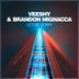 Cover art for "Veeshy, Brandon Mignacca — Let Me Down"