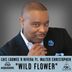 Cover art for "Luis Loowee R Rivera — Wild Flower feat. Walter Christopher (Xtended Mix)"