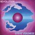 Cover art for "Steve Veronese — Revolution"