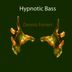 Cover art for Hypnotic Bass