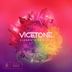 Cover art for "Vicetone — Something Strange feat. Haley Reinhart (Zack Martino Remix)"