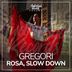 Cover art for "GREGORI — Slow Down"