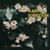 Cover art for "Karma Kingdom — We Shall Overcome"