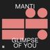 Cover art for "MANTi — Glimpse of You (Extended Mix)"