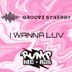 Cover art for "Groove Synergy — I Wanna Luv"