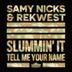 Cover art for "Samy Nicks — Slummin' It"