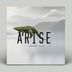 Cover art for Arise feat. Ji