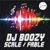 Cover art for "DJ Boozy — Fable"