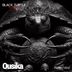 Cover art for "Ousika — Ravers Mind"