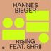 Cover art for Rising feat. Shrii