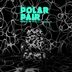 Cover art for "Polar Pair — Not Real (SaBBo Remix)"