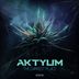 Cover art for "Aktyum — The Darkest Place (Original Mix)"