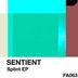 Cover art for "Sentient — Splint"