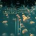 Cover art for "Kellie Sakkaku — Sahara's Sandstorm (Original Mix)"