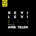 Cover art for "HEVI LEVI — Mad World (Amir Telem Remix)"