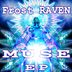 Cover art for "Frost Raven — Muse"