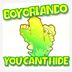 Cover art for "Boy Orlando — You Can't Hide"