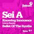 Cover art for "Sei A — Ballet Of The Synths (Original Mix)"