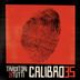 Cover art for "Calibro 35 — Annoying Repetitions"