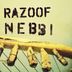 Cover art for "Razoof — Nebbi (Edit)"