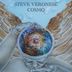 Cover art for "Steve Veronese — Change"