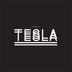 Cover art for Tesla