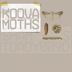 Cover art for "Koova — Moths"