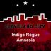 Cover art for "Indigo Rogue — Amnesia"