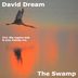 Cover art for "David Dream — The Swamp (Frogs In Love Progressive Mix)"