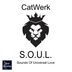 Cover art for "Catwerk — S.O.U.L."