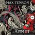 Cover art for "Max TenRoM, CamelVIP, Dj Sergee — Ahmet (Dj Sergee Remix)"