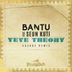 Cover art for "BANTU — Yeye Theory feat. Seun Kuti (Razoof Remix)"