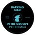 Cover art for "Peter Mac — In The Groove"