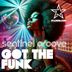 Cover art for "Sentinel Groove — Got the Funk (Extended Mix)"