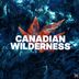 Cover art for "GAR — Canadian Wilderness (Extended Mix)"