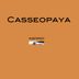 Cover art for "Casseopaya — Inspired"