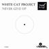 Cover art for "White Cat Project — Never Give Up (Original mix)"