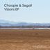 Cover art for "Choopie, Segall — Step by Step (Original Mix)"