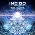 Cover art for "Indigo, Steve Hillage — Tenkawa feat. Steve Hillage (Original Mix)"