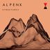 Cover art for "AlpenX — Linear Anatomy (SpockNinja's Deep Forest Rave Remix)"