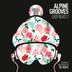 Cover art for Alpine Grooves Easy Beats 1 (DJ Mix)