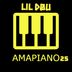 Cover art for "Prince Lil Dou — AMAPIANO 25"