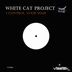 Cover art for "White Cat Project — I Control Your Mass (original mix)"